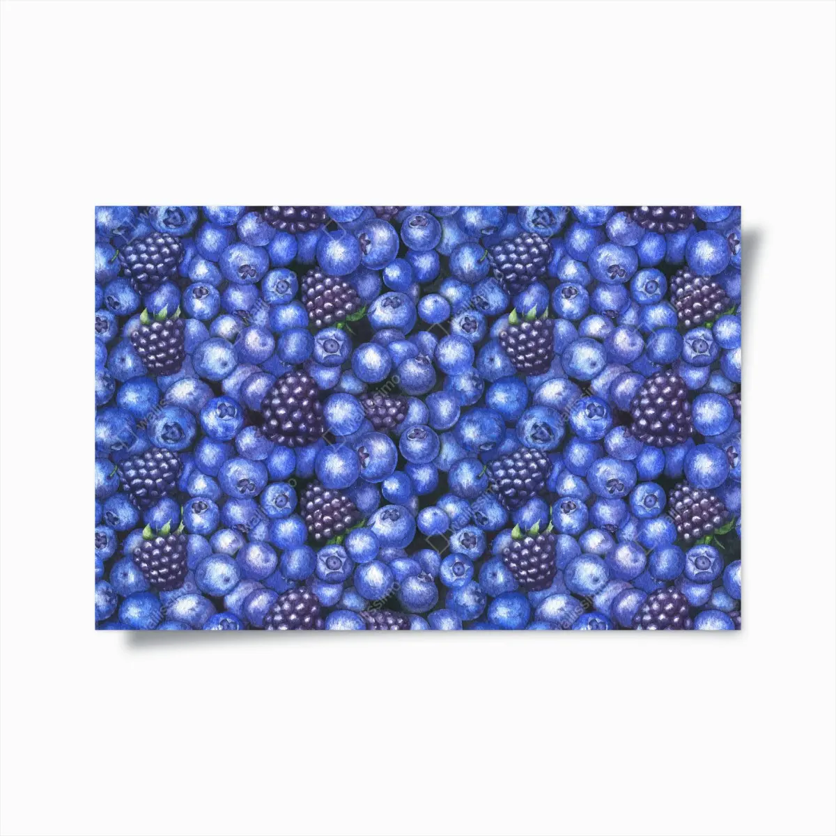 Poster aquarellmuster mit blaubeeren und brombeeren – Pixers®