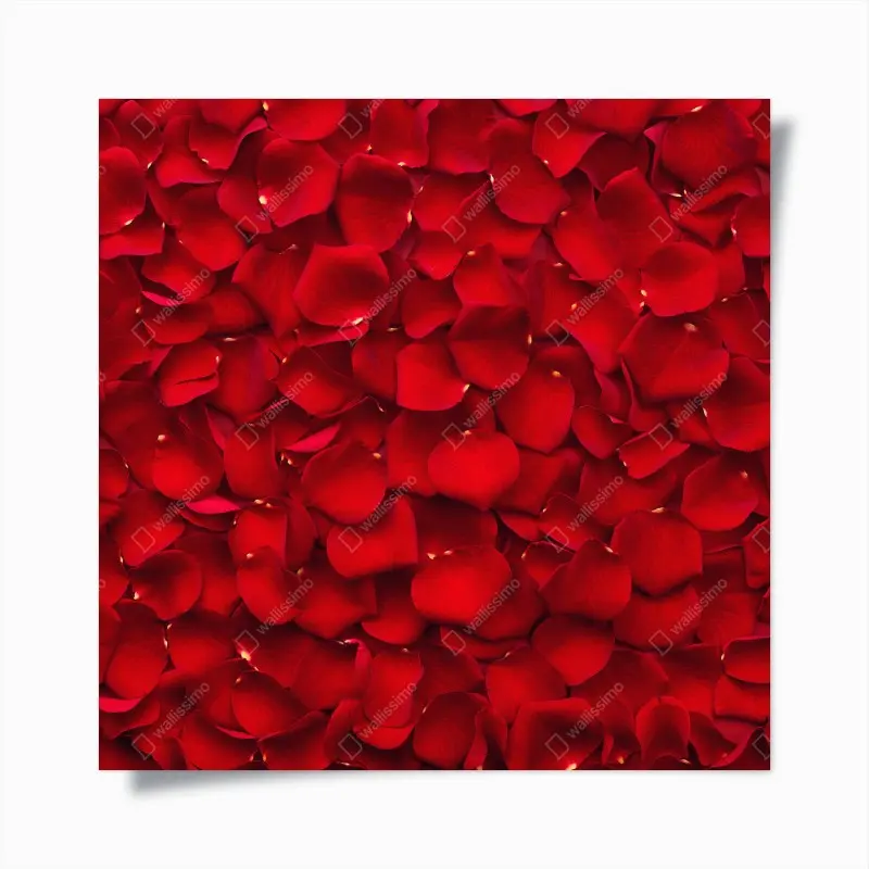 Poster rote rosenblätter hintergrund