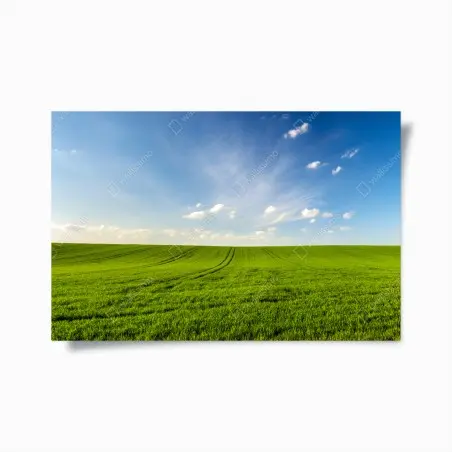 Poster frühlingsgrüne wiesenpanorama – Pixers®