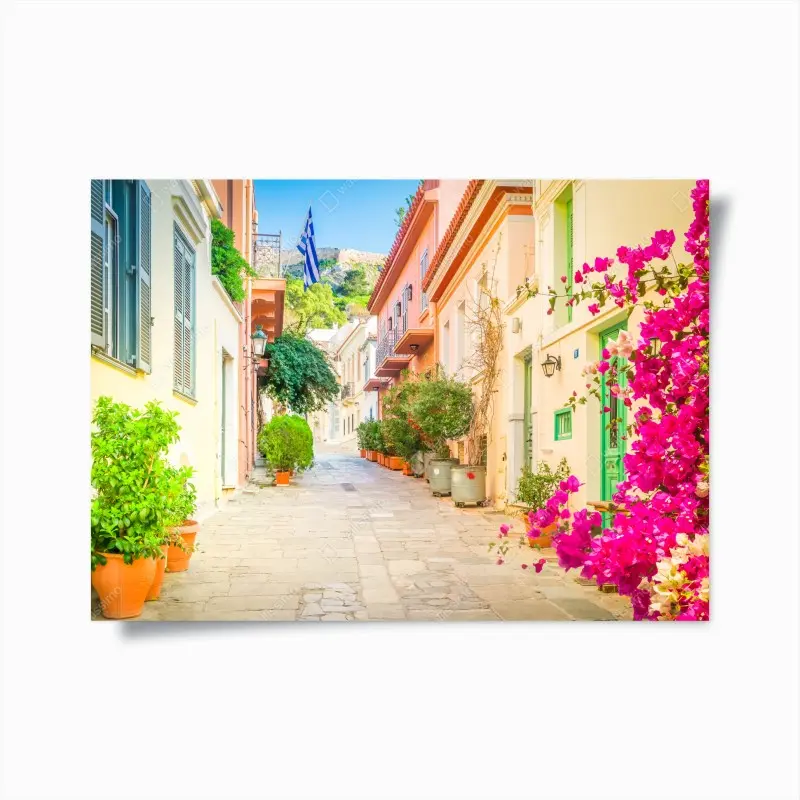 Poster sonnige griechische gasse mit bougainvillea