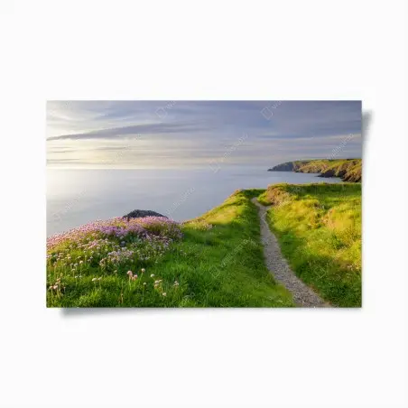 Poster Ceibwr Bay küstenpfad bei dämmerung – Pixers®