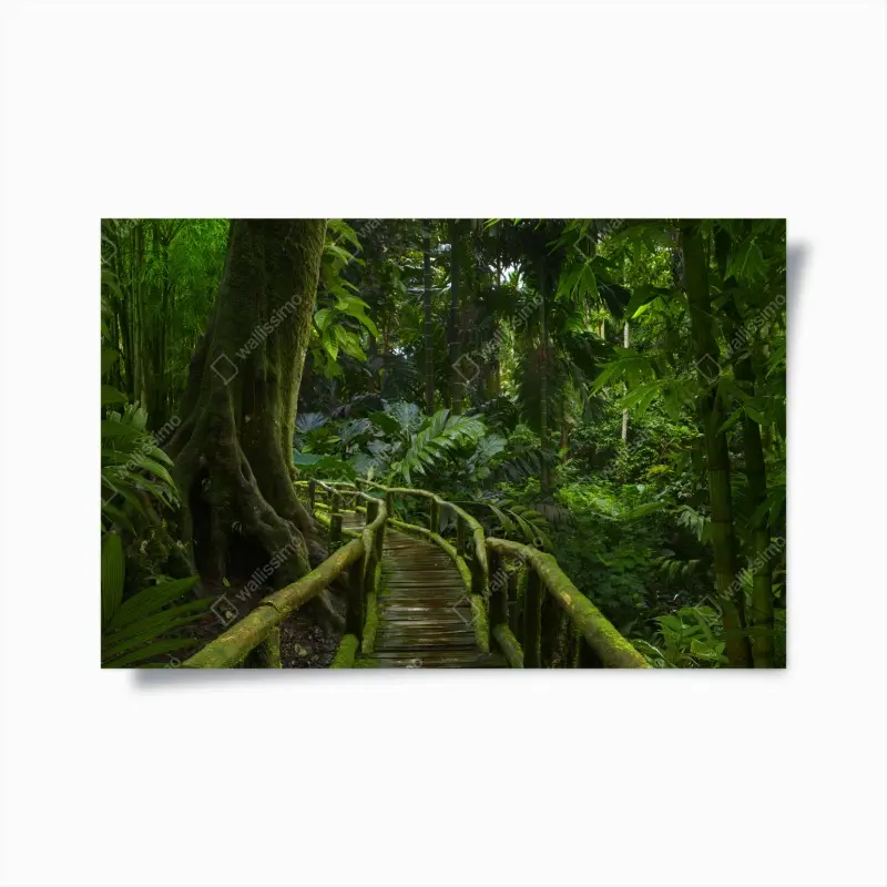 Poster ruhiger dschungelsteg durch üppigen regenwald