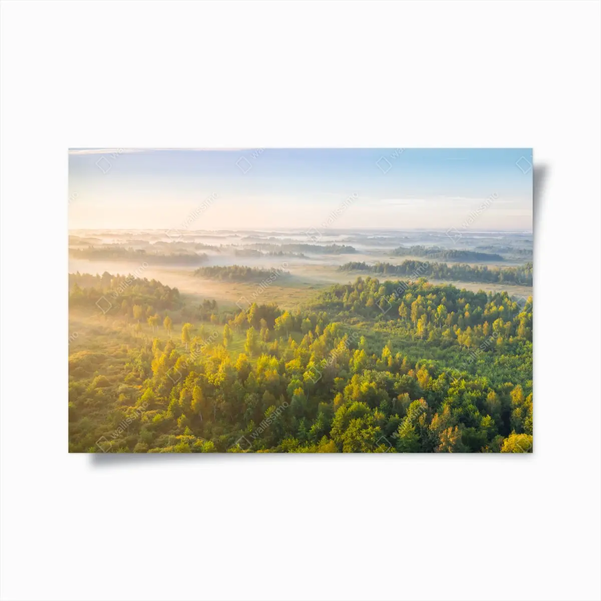 Poster nebliger morgen im sumpf von Zvanets – Pixers®