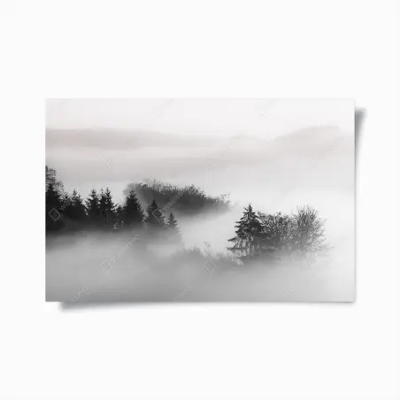 Poster nebliger wald in grautönen – Pixers®