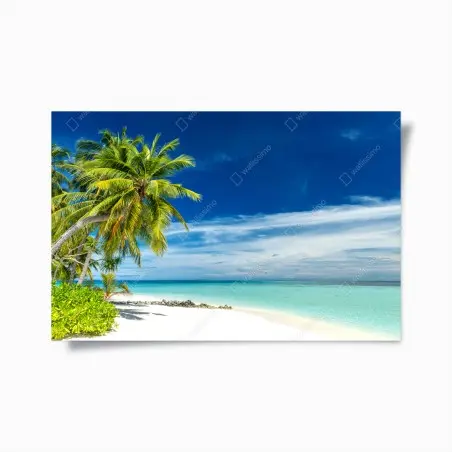 Poster tropischer türkisstrand – Pixers®