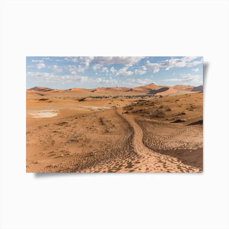 Poster weite wüstendünen unter blauem himmel
