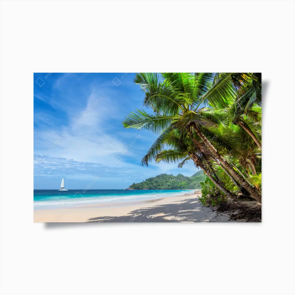 Poster tropischer strand mit palmen und segelboot – Pixers®