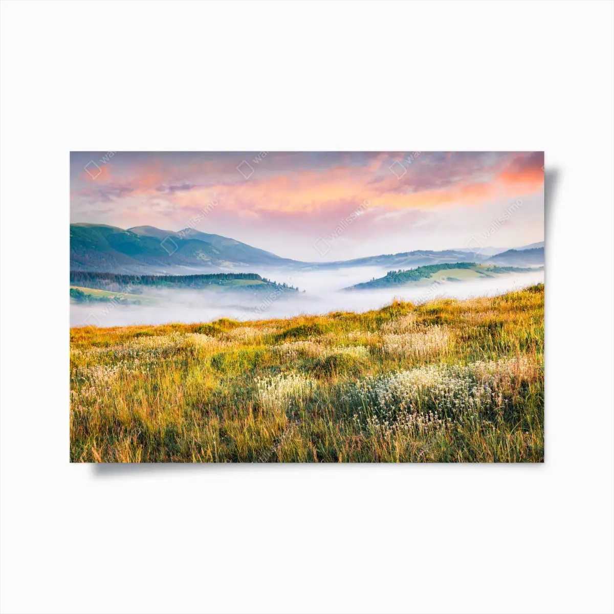 Poster nebliger morgen in den Karpaten – Pixers®