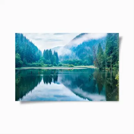 Poster nebliger morgen am see Lacu Rosu, Rumänien – Pixers®