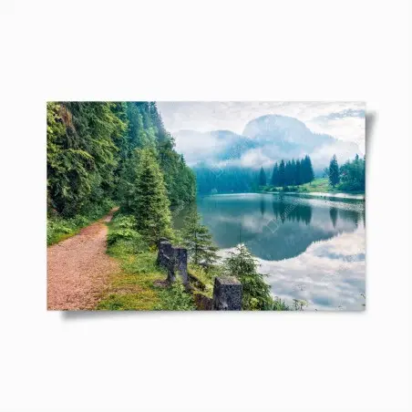 Poster nebliger morgen am Lacu Rosu – Pixers®