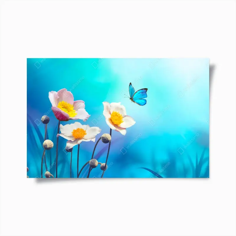 Poster zarte rosa anemonen und blauer schmetterling