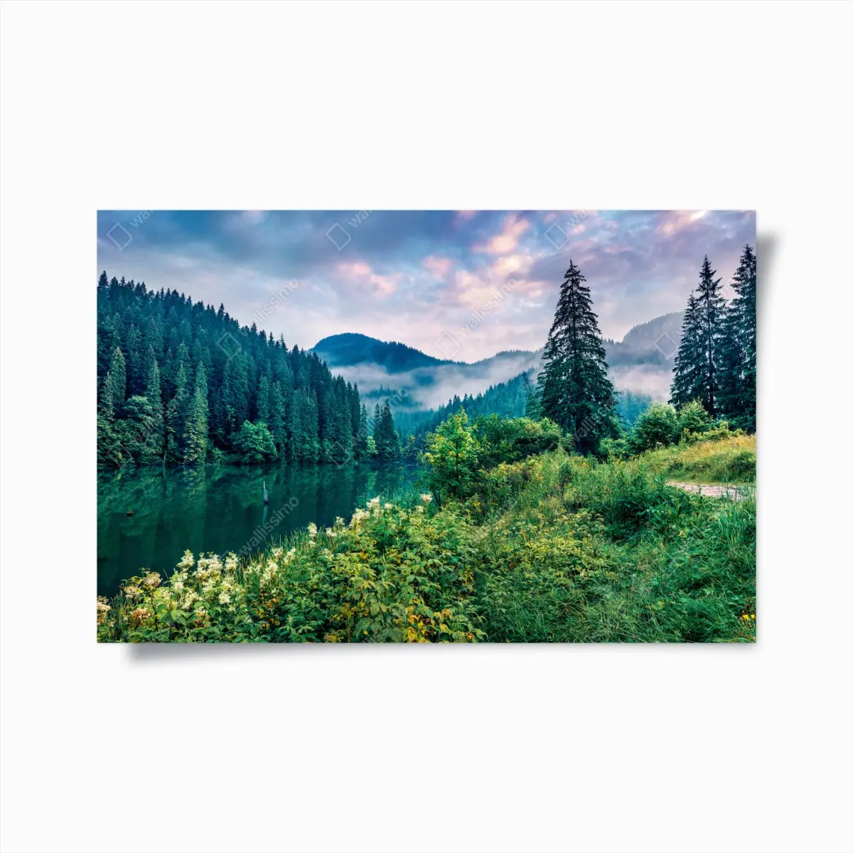 Poster nebliger sonnenaufgang über Lacu Rosu – Pixers®