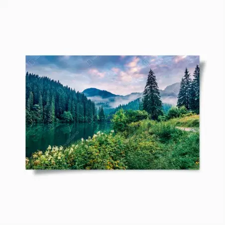 Poster nebliger sonnenaufgang über Lacu Rosu – Pixers®