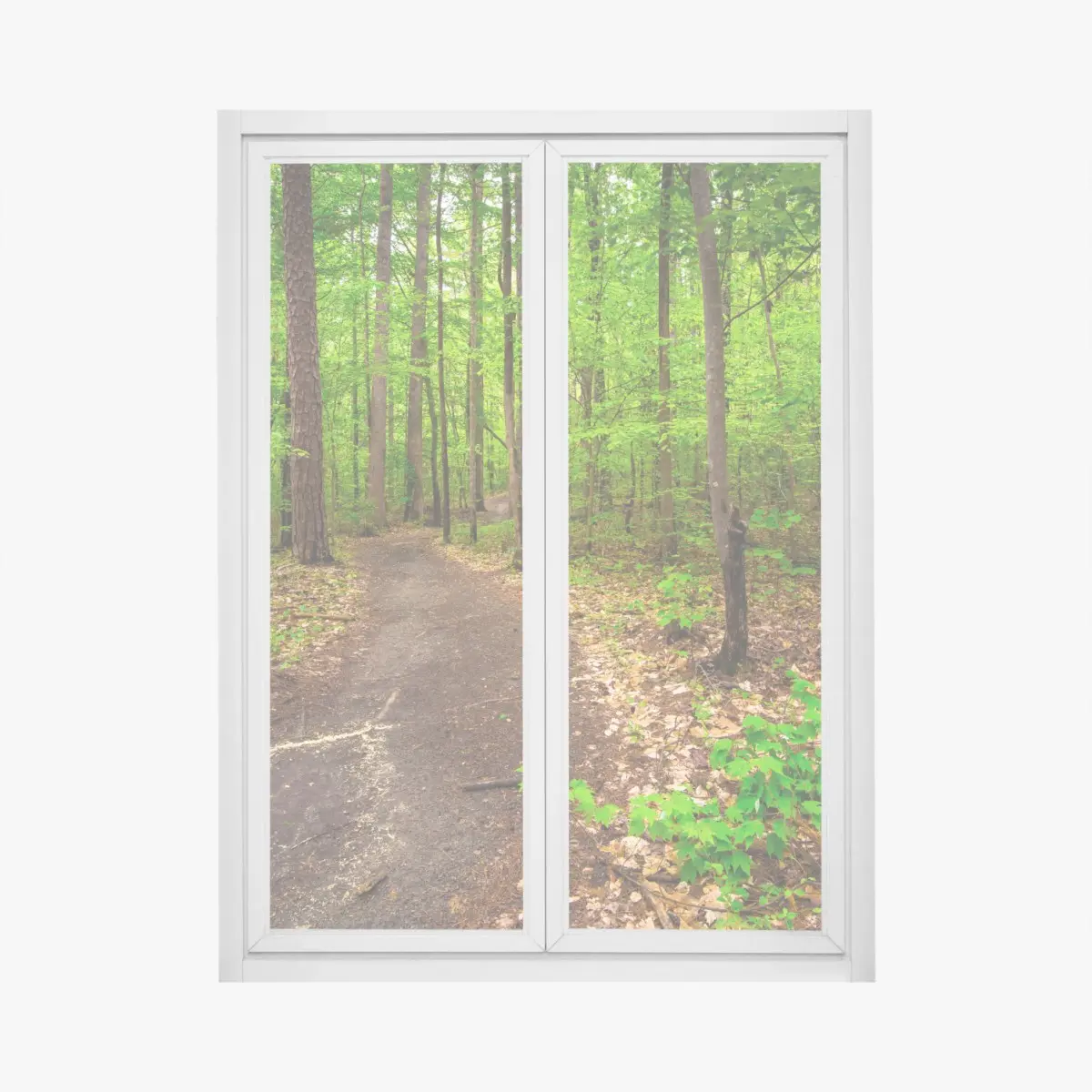 Fensteraufkleber ruhiger grüner waldpfad – Pixers®