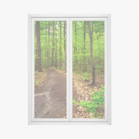 Fensteraufkleber ruhiger grüner waldpfad – Pixers®