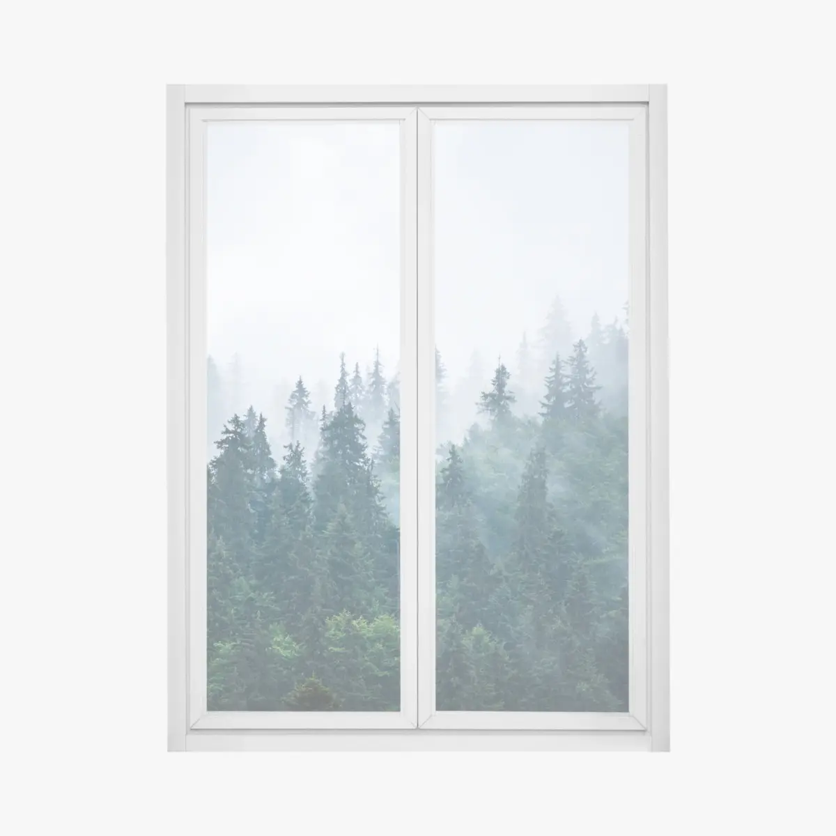 Fensteraufkleber nebliger nadelwald – Pixers®