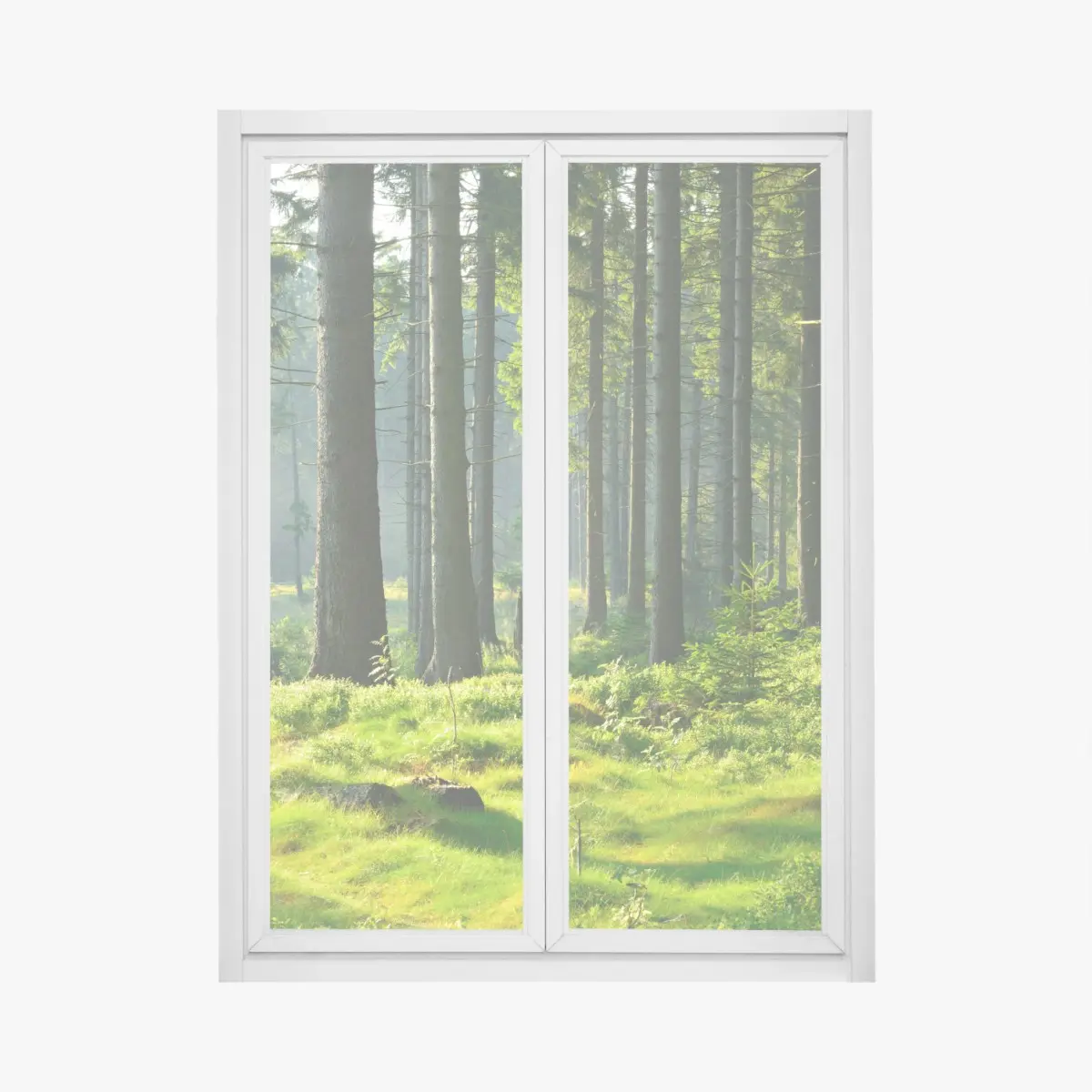 Fensteraufkleber sonnige grüne lichtung im wald – Pixers®