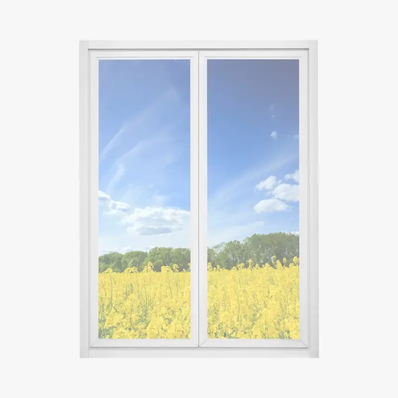Fensteraufkleber polnisches rapsfeld unter blauem himmel