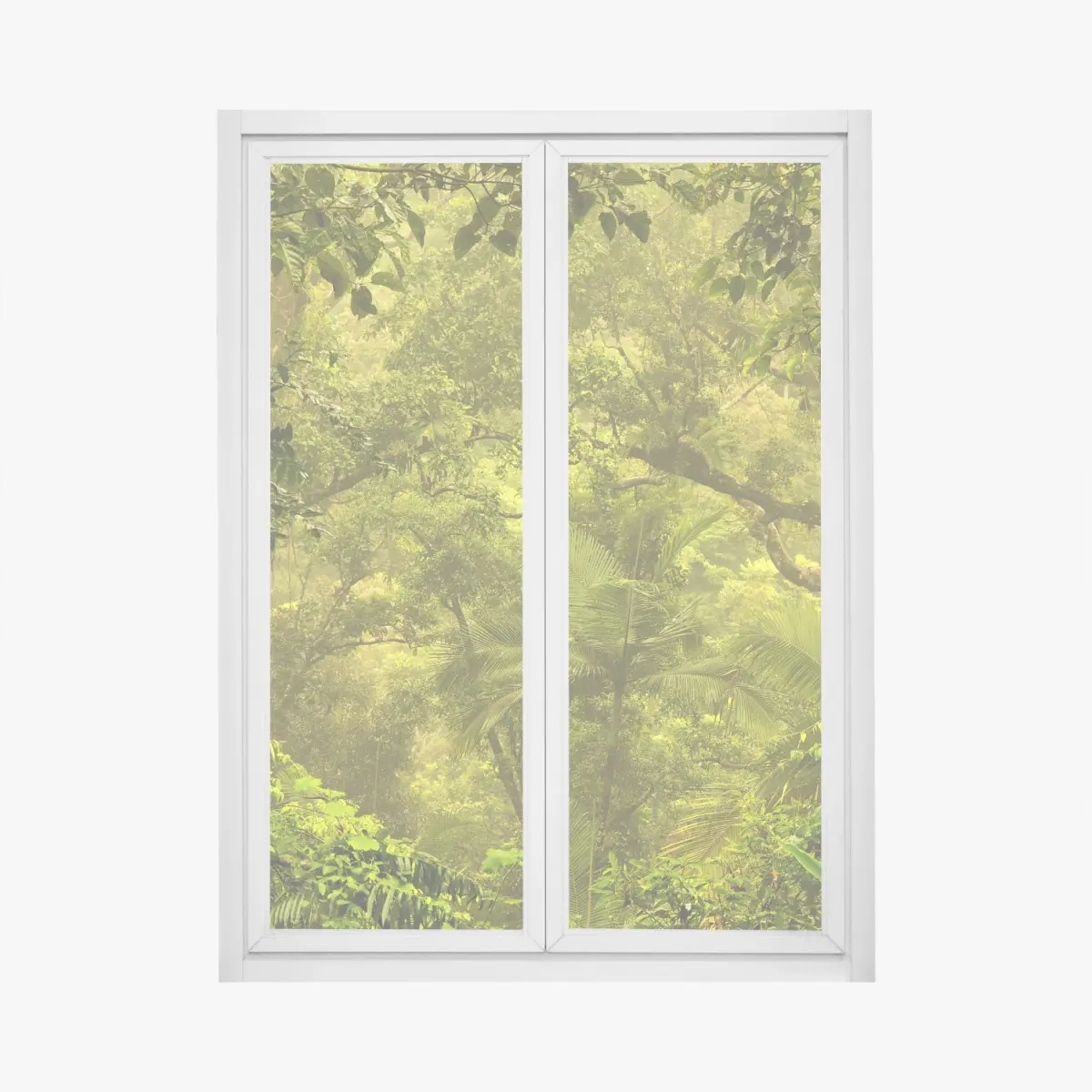 Fensteraufkleber üppiges regenwalddach bei Cairns – Pixers®