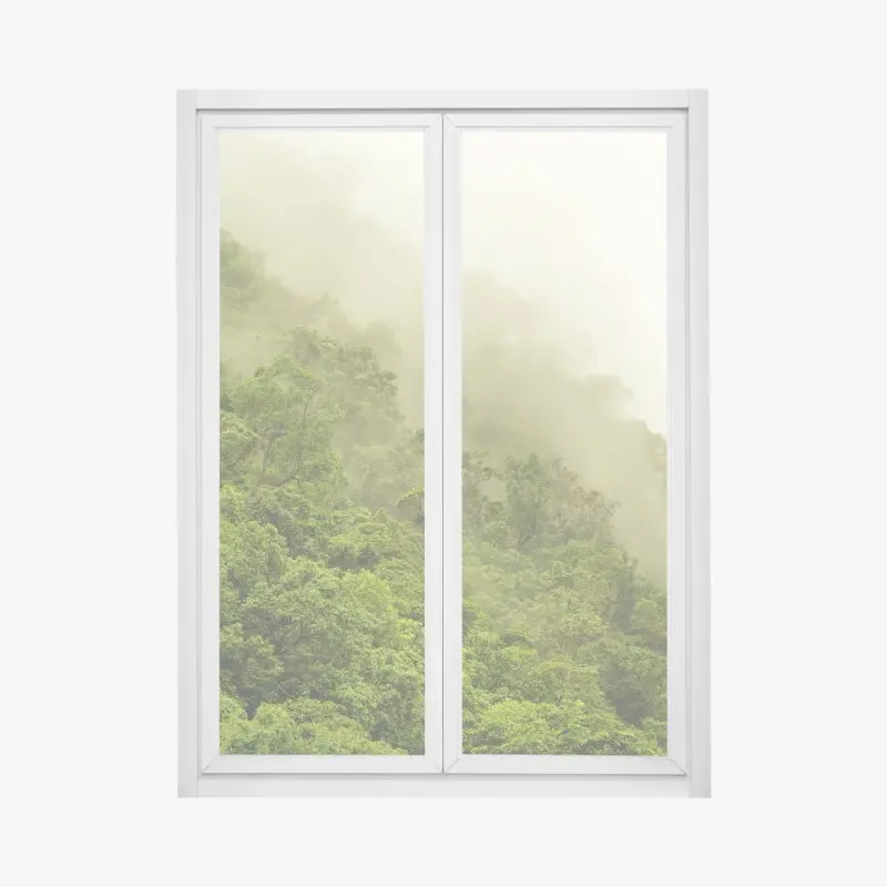 Fensteraufkleber nebeliger regenwald bei Cairns