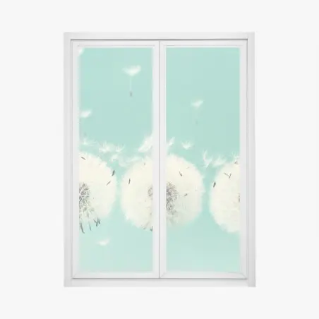 Fensteraufkleber drei löwenzahn-pusteblumen auf türkisgrund – Pixers®
