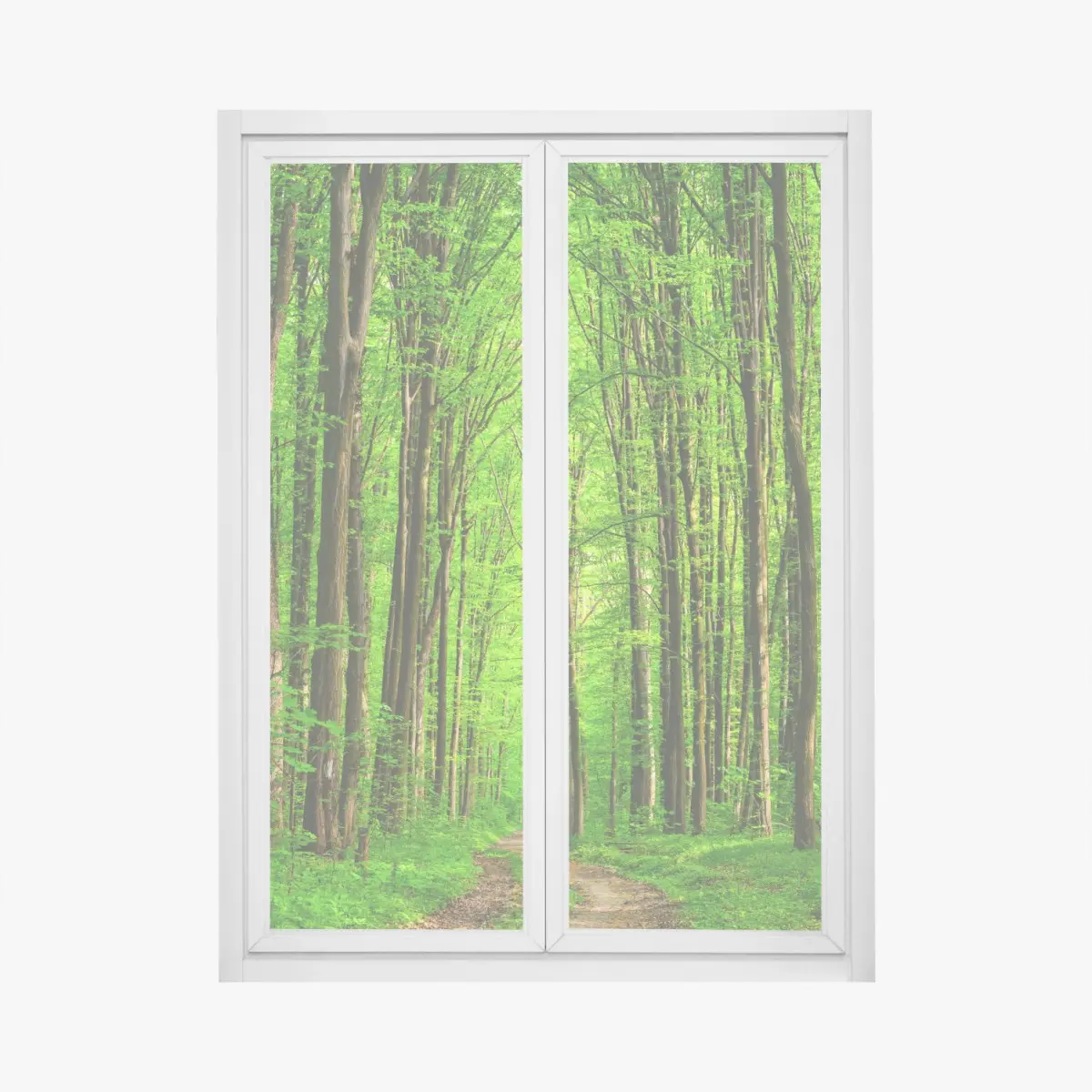 Fensteraufkleber üppiger grüner waldweg – Pixers®