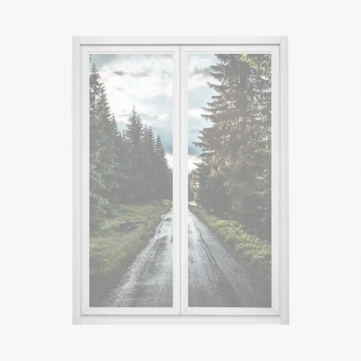 Fensteraufkleber waldweg durch neblige kiefern – Pixers®