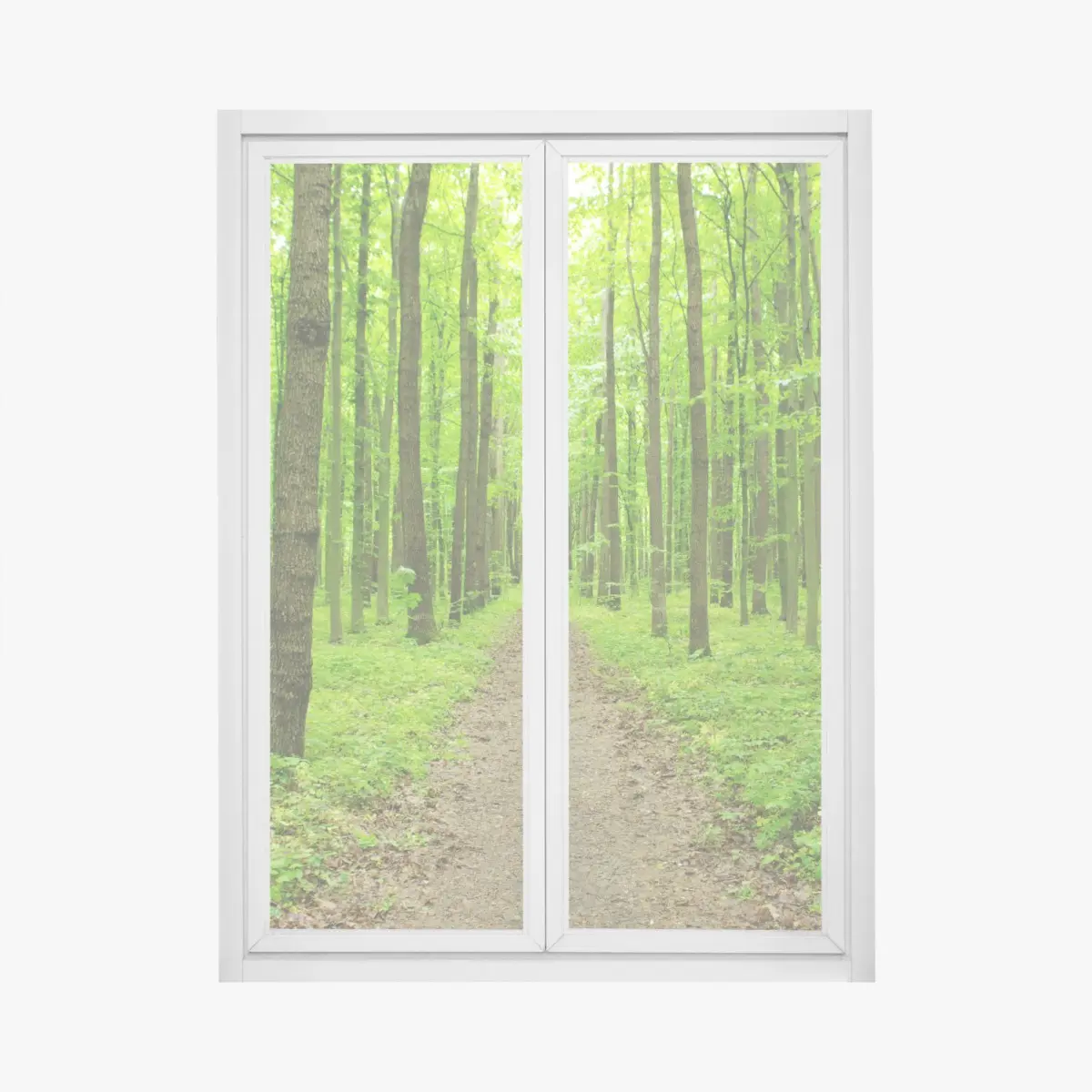 Fensteraufkleber ruhiger grüner waldweg – Pixers®