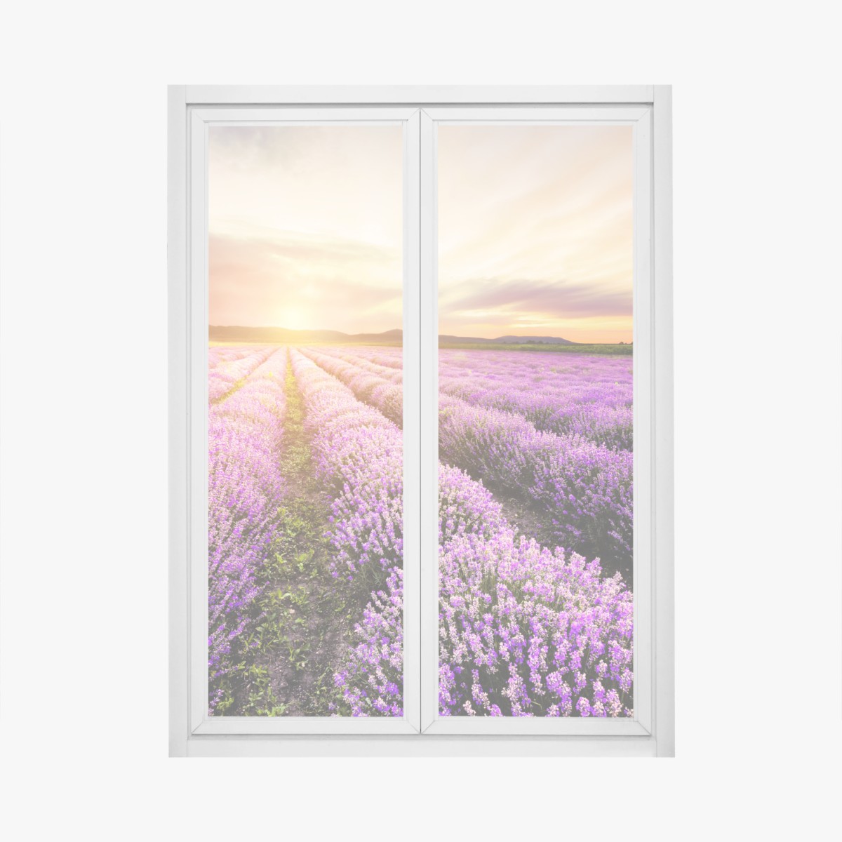 Fensteraufkleber sonnenaufgang über lavendelfeldern – Pixers®
