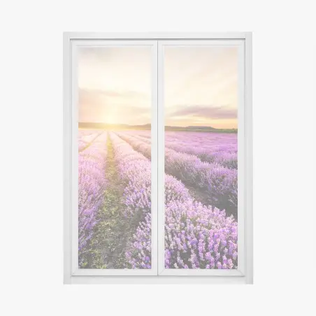 Fensteraufkleber sonnenaufgang über lavendelfeldern – Pixers®