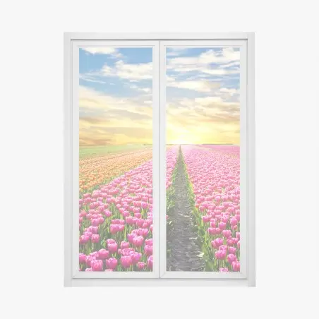 Fensteraufkleber sonnenaufgang über tulpenfeldern in den Niederlanden – Pixers®