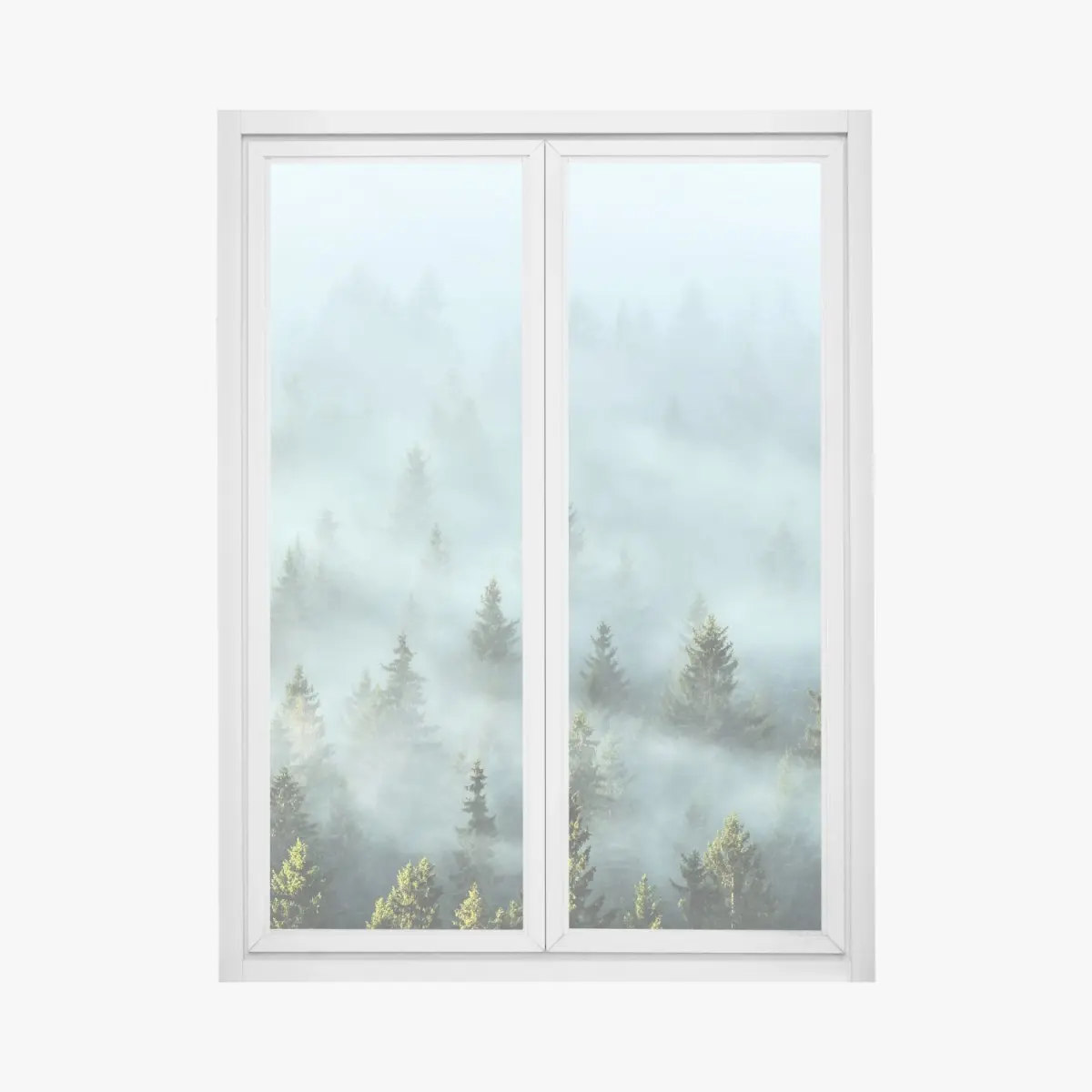 Fensteraufkleber nebliger fichtenwald am morgen – Pixers®