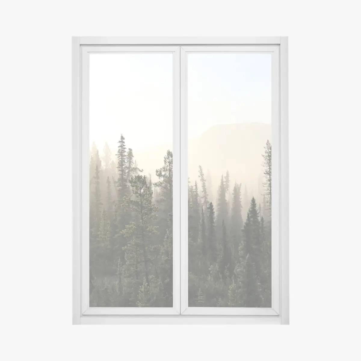 Fensteraufkleber nebliger kiefernwald bei sonnenaufgang – Pixers®