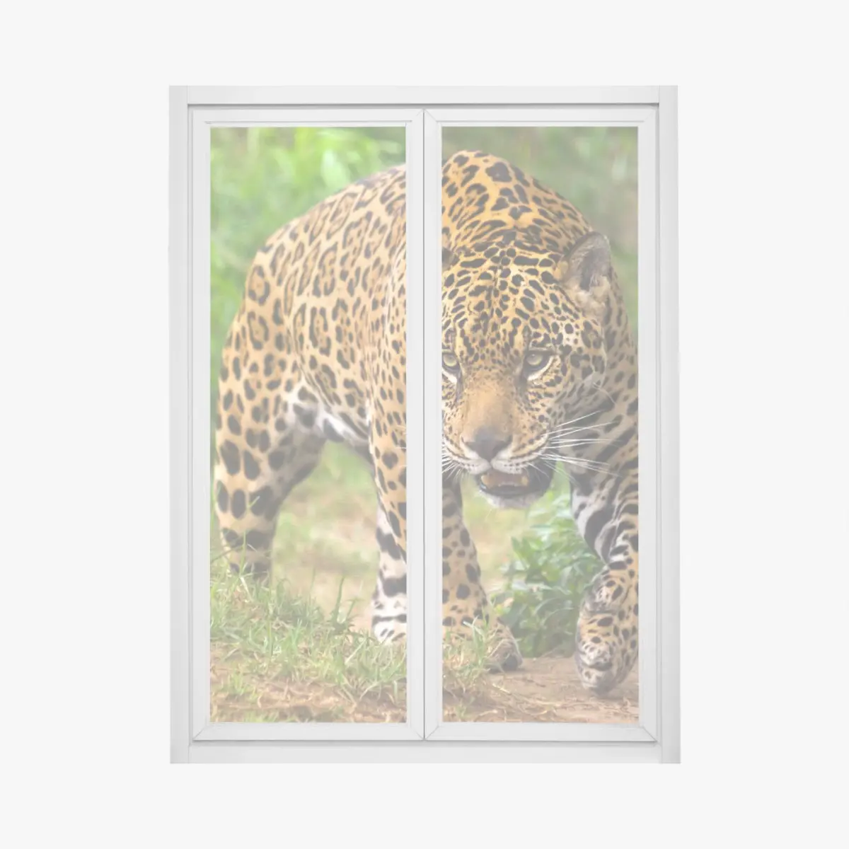 Fensteraufkleber majestätischer jaguar in freier wildbahn – Pixers®