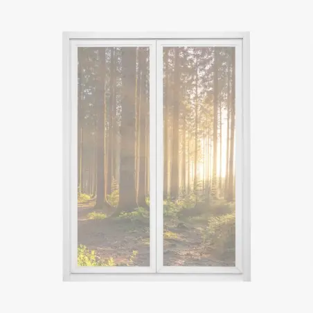 Fensteraufkleber sonnenbeschienener waldweg am morgen – Pixers®