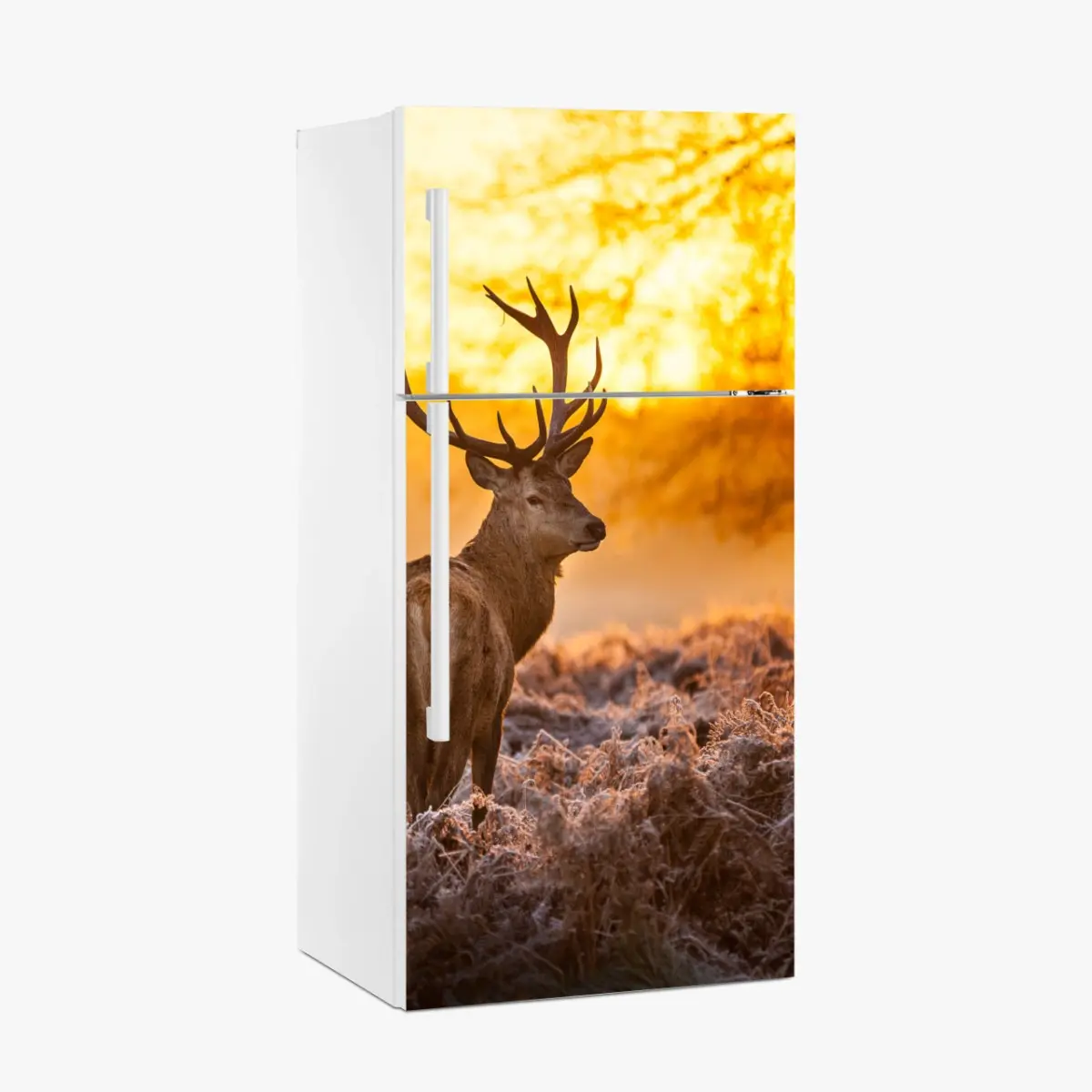 Kühlschrankaufkleber goldener hirsch im sonnenaufgang – Pixers®