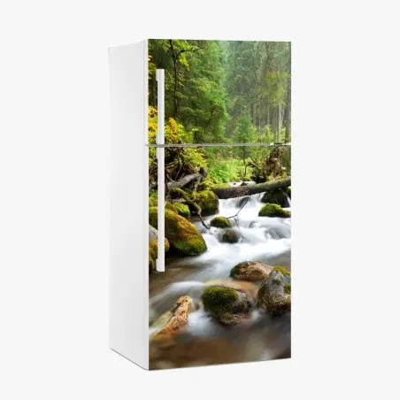 Kühlschrankaufkleber moosbedeckter waldbach im herbst – Pixers®