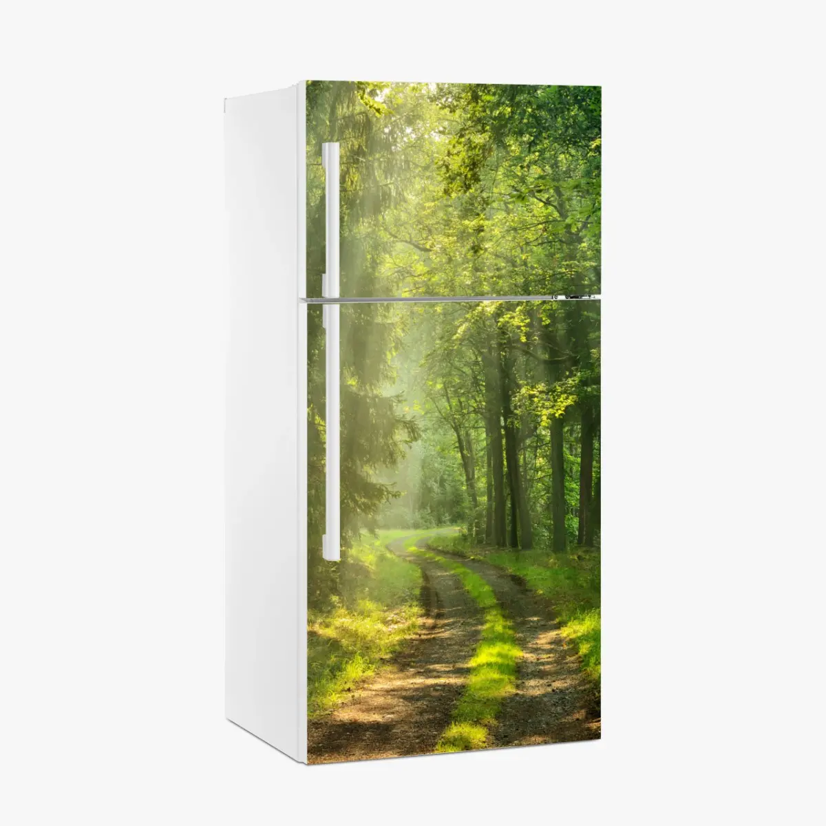 Kühlschrankaufkleber sonnenbeschienener waldpfad – Pixers®