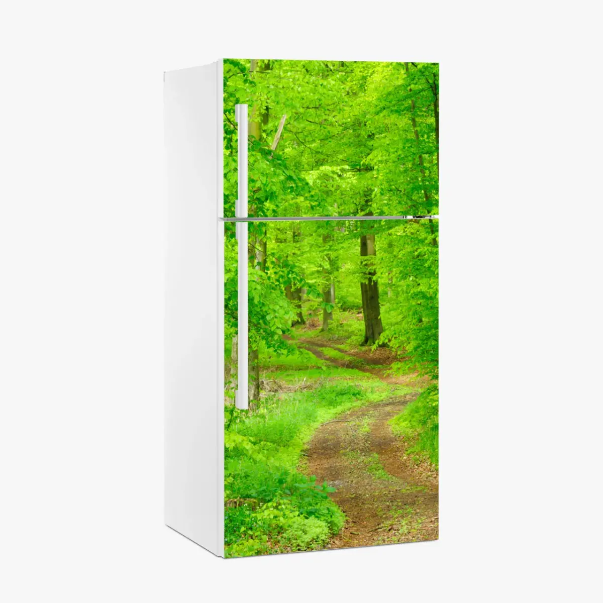 Kühlschrankaufkleber ruhiger waldweg im frühling – Pixers®