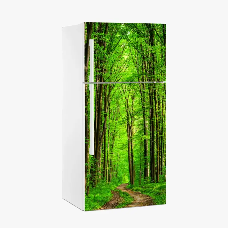 Kühlschrankaufkleber üppiger grüner waldweg