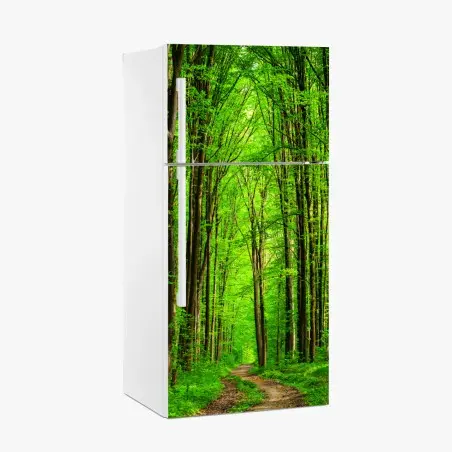 Kühlschrankaufkleber üppiger grüner waldweg – Pixers®