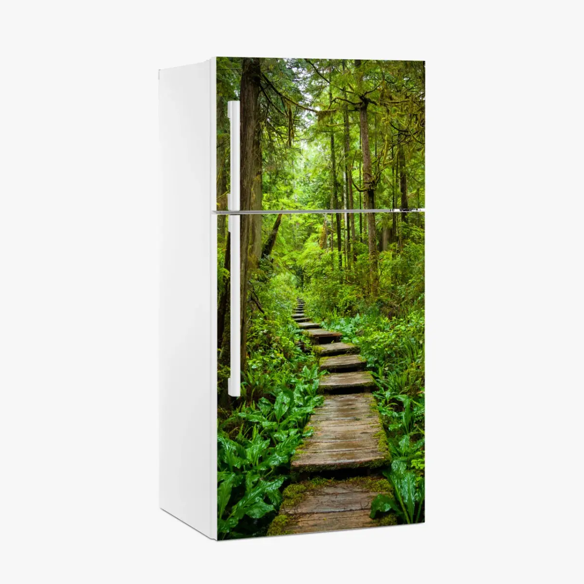 Kühlschrankaufkleber ruhiger waldsteg – Pixers®