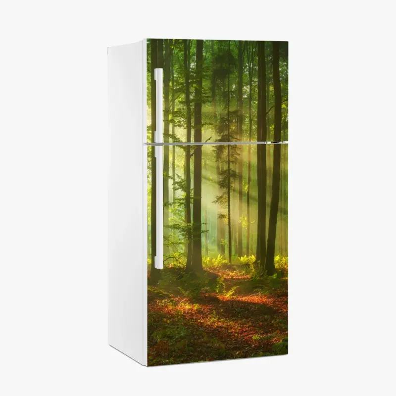 Kühlschrankaufkleber morgendliches licht im grünen wald