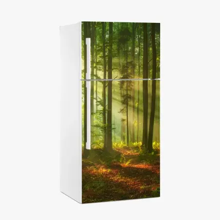 Kühlschrankaufkleber morgendliches licht im grünen wald – Pixers®