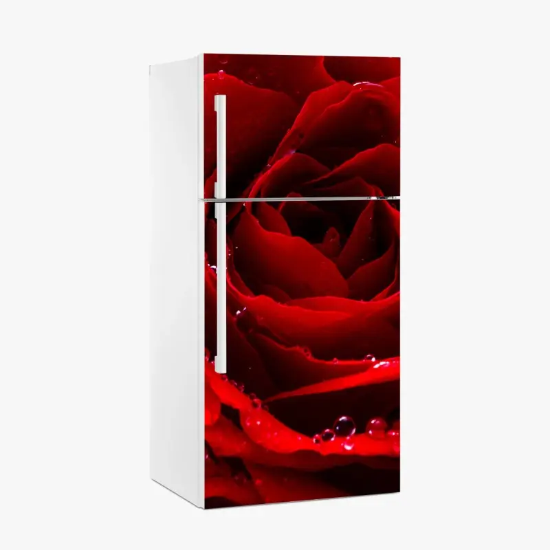 Kühlschrankaufkleber leuchtend rote rose nahaufnahme
