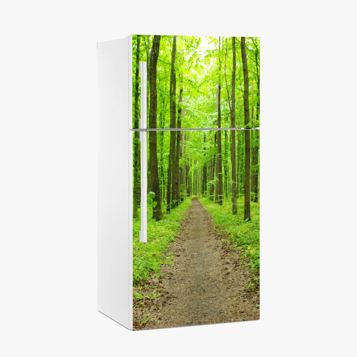 Kühlschrankaufkleber ruhiger grüner waldweg – Pixers®