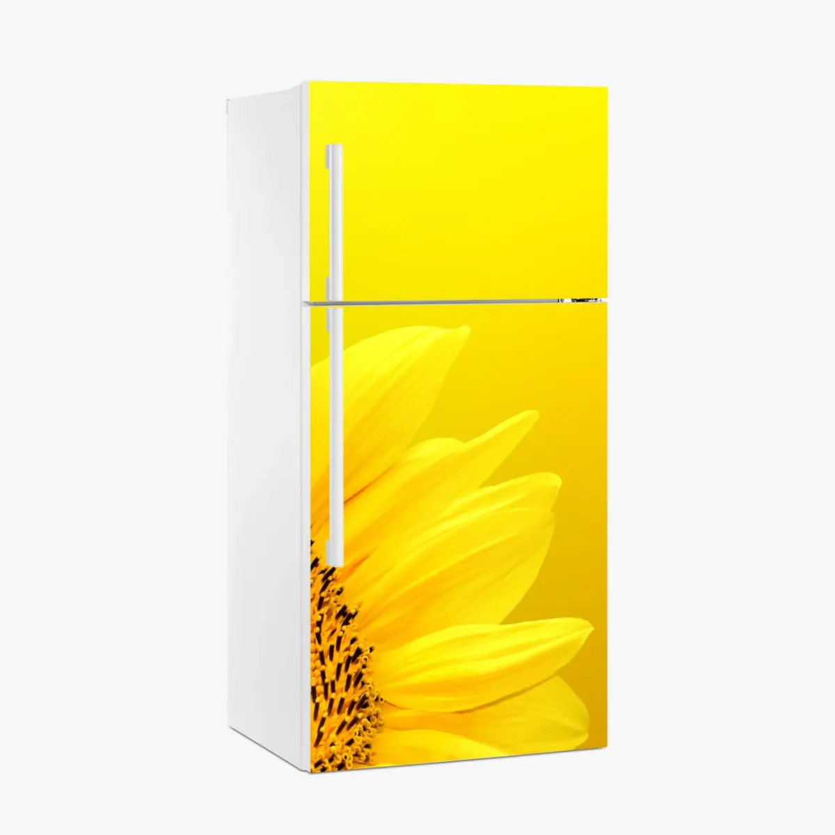 Kühlschrankaufkleber leuchtende sonnenblume nahaufnahme auf gelbem hintergrund – Pixers®