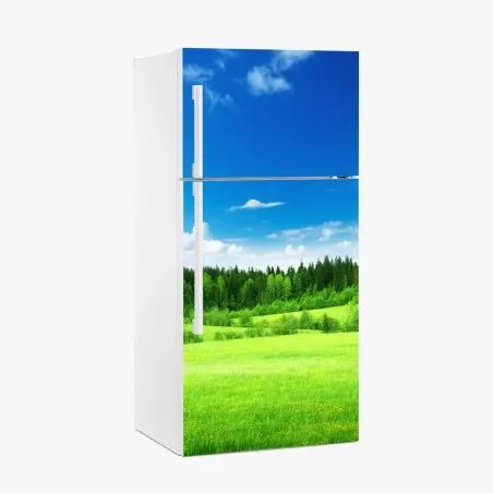 Kühlschrankaufkleber frühlingswiese unter blauem himmel – Pixers®