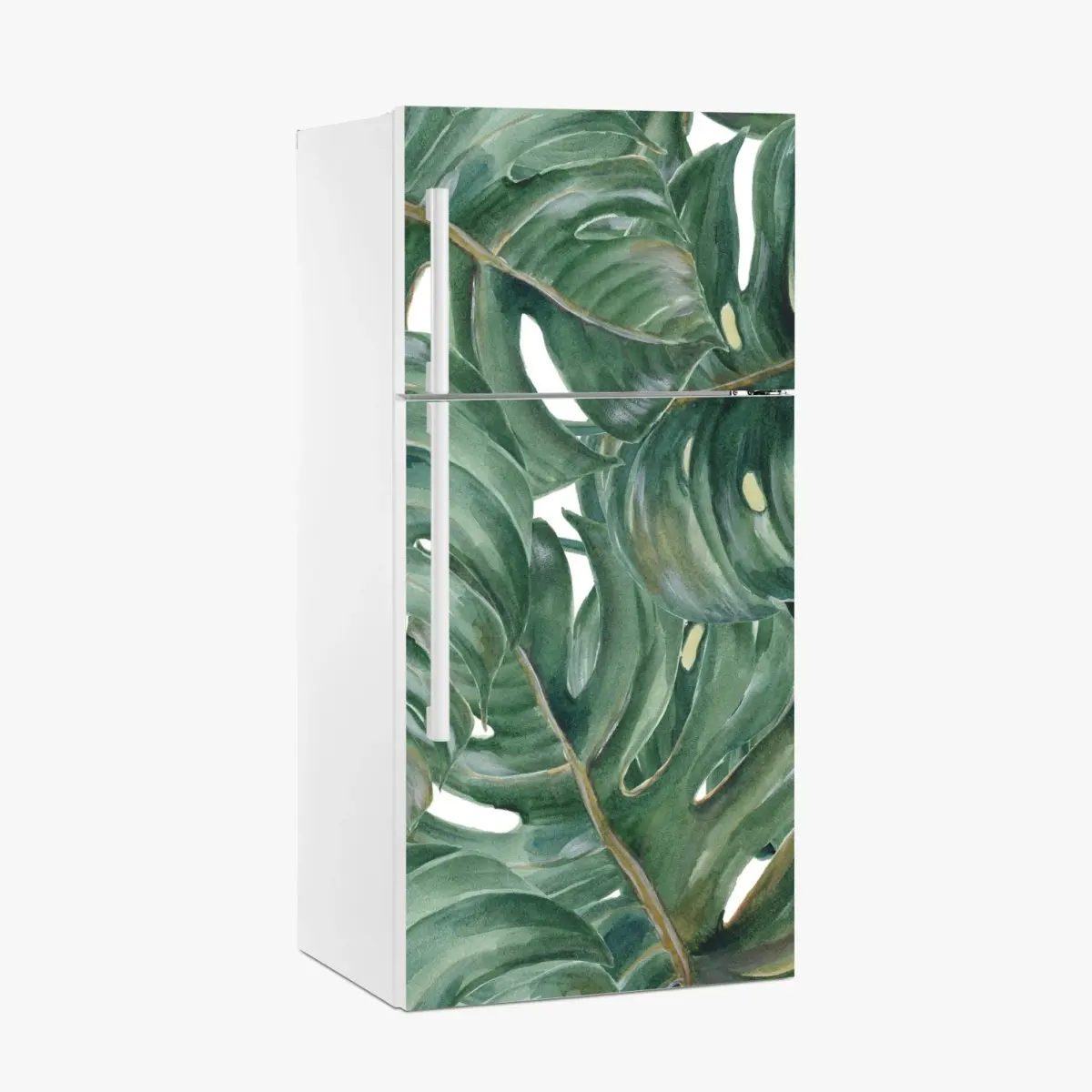 Kühlschrankaufkleber monstera blätter in aquarell – Pixers®