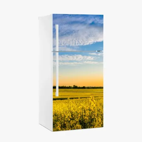 Kühlschrankaufkleber sonnenbeschienenes rapsfeld im abendlicht – Pixers®